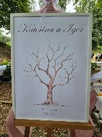 IMG-20250804-WA0009 (002)